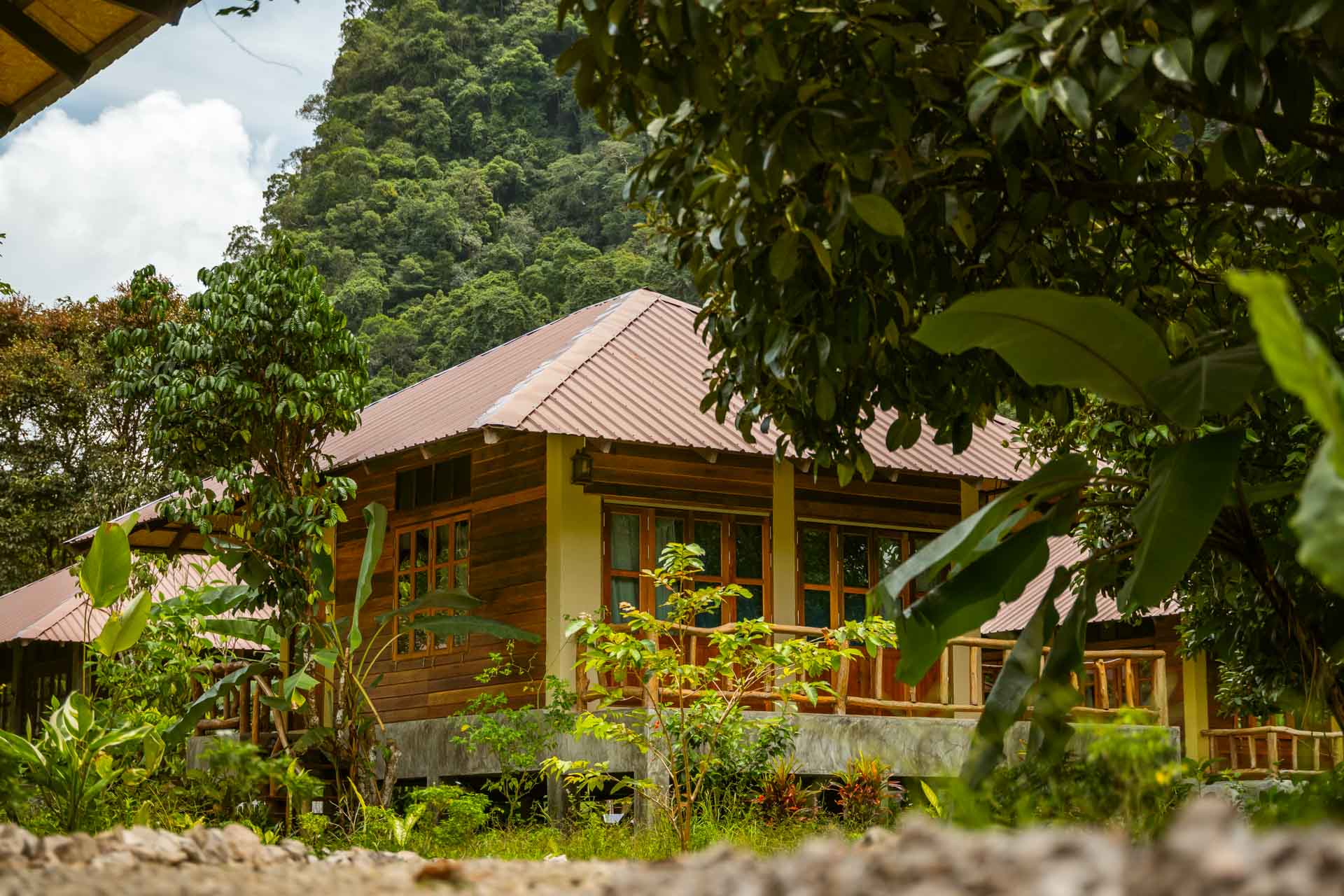 comfortable jungle bungalow